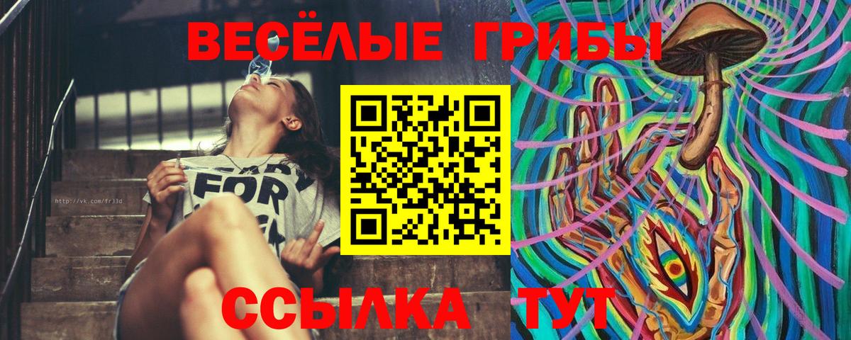 Псилоцибиновые грибы Psilocybine cubensis  Вход с VPN  Нефтекамск 